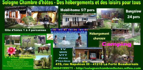 Gite La Fert Beauharnais - 4 people - holiday home
