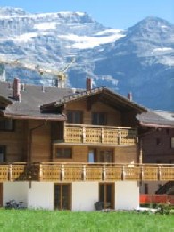 Flat in Les diablerets for   6 •   with shared pool 