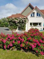 Bed and Breakfast in Berck sur mer for   5 •   with terrace 