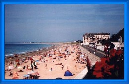 Donville les bains -    animals accepted (dog, pet...) 