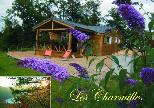 Chalet in Gros chastang for   5 •   animals accepted (dog, pet...) 