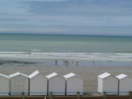 Flat Criel Sur Mer - 6 people - holiday home