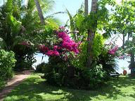 Gite Bora Bora - 4 personnes - location vacances