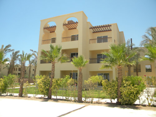 Appartement in Egypt fr  6 •   mit Terrasse 