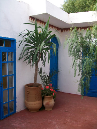 Maison  Essaouira ghazoua pour  7 •   animaux accepts (chien, chat...) 