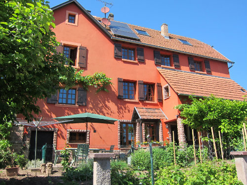 Gite Dinsheim Sur Bruche - 9 people - holiday home