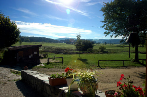 Farm in Montregard for   4 •   animals accepted (dog, pet...) 