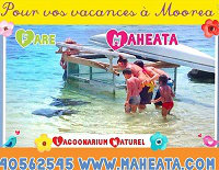 Gite in Moorea for   3 •   view on sea 