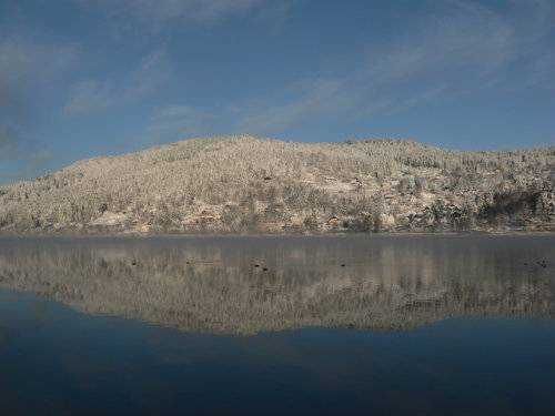 Gerardmer -    vista a un lago 