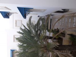 Hammamet nord -    access for disabled  