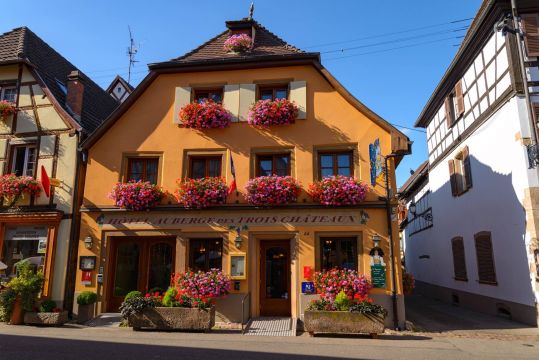 Gite  Eguisheim - Location vacances, location saisonnire n64855 Photo n13