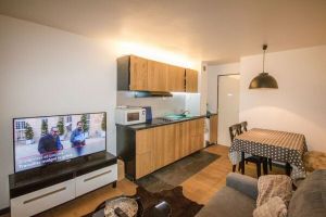 Appartement in Avoriaz voor  4 •   1 slaapkamer 