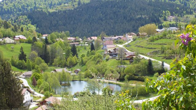 Gite in Ventron La Bamboisienne - Vacation, holiday rental ad # 68493 Picture #0
