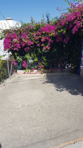 Huis in Rethymnon  - Vakantie verhuur advertentie no 71646 Foto no 2
