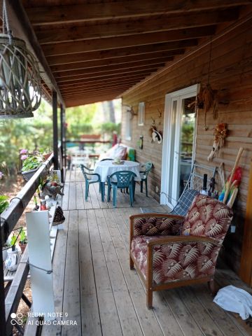 Chalet  Venday Montalivet  - Location vacances, location saisonnire n72098 Photo n6