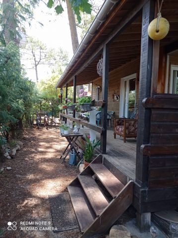 Chalet  Venday Montalivet  - Location vacances, location saisonnire n72098 Photo n9