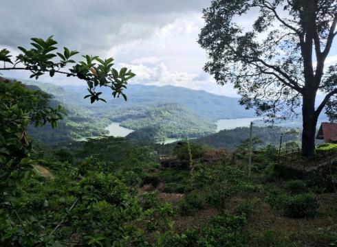 Nuweraeliya -    view on lake 