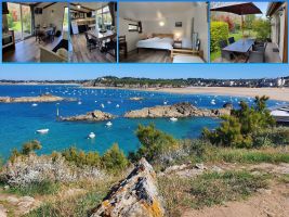Dinard -    animaux accepts (chien, chat...) 