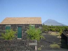 Maison  Pico island pour  6 •   vue sur mer 