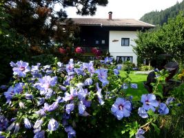 Flat in Millstatt for   7 •   with private pool 